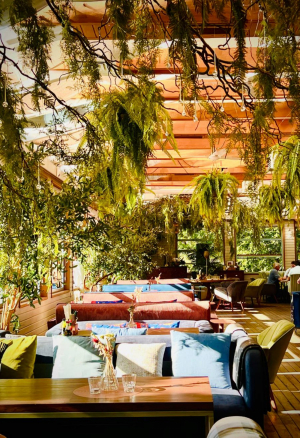  Blush Lounge / Blush Лаунж